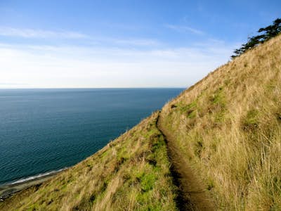 Hike to Ebey's Landing