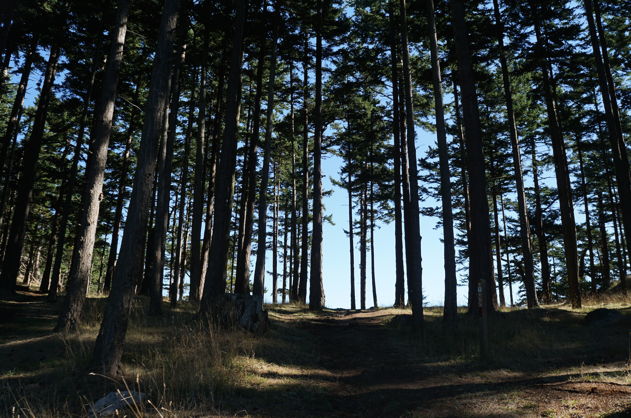 Hike and Camp at James Island