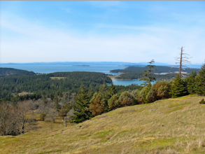 Hike to Young Hill