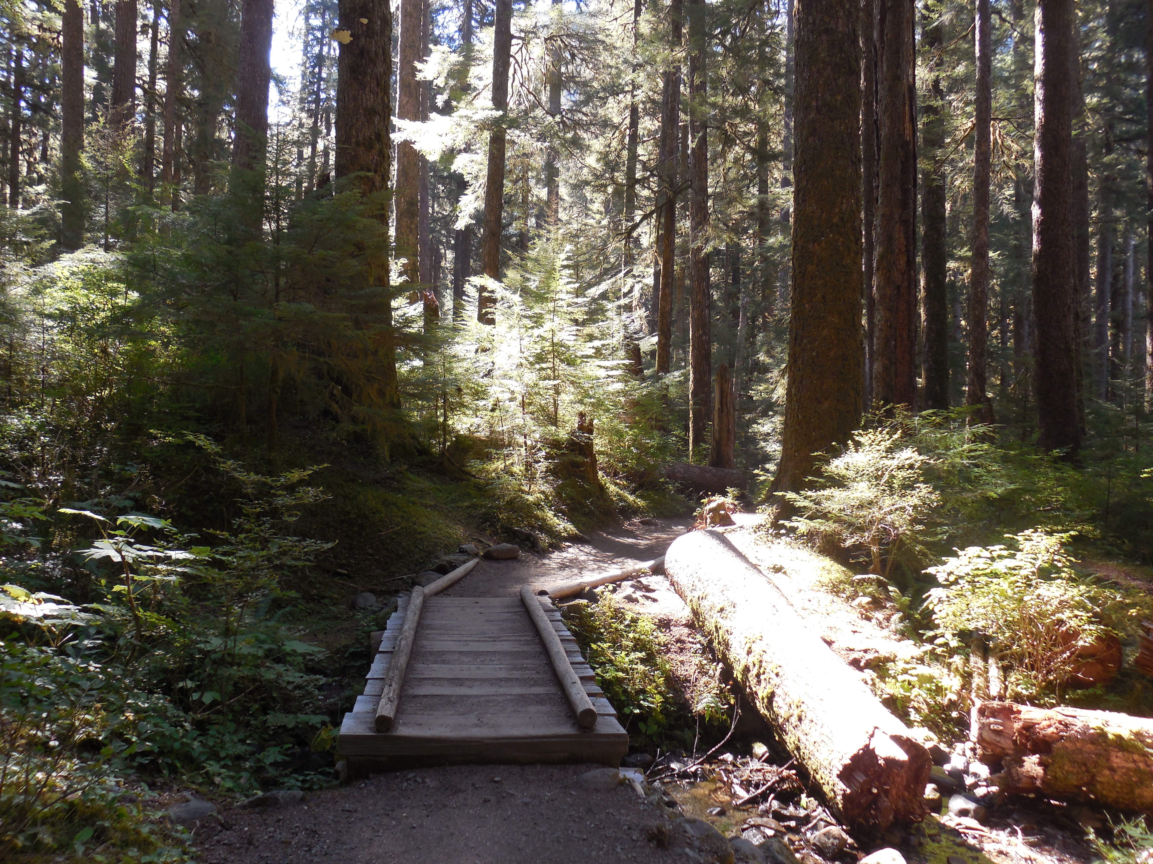 Sol Duc Falls and Deer Lake