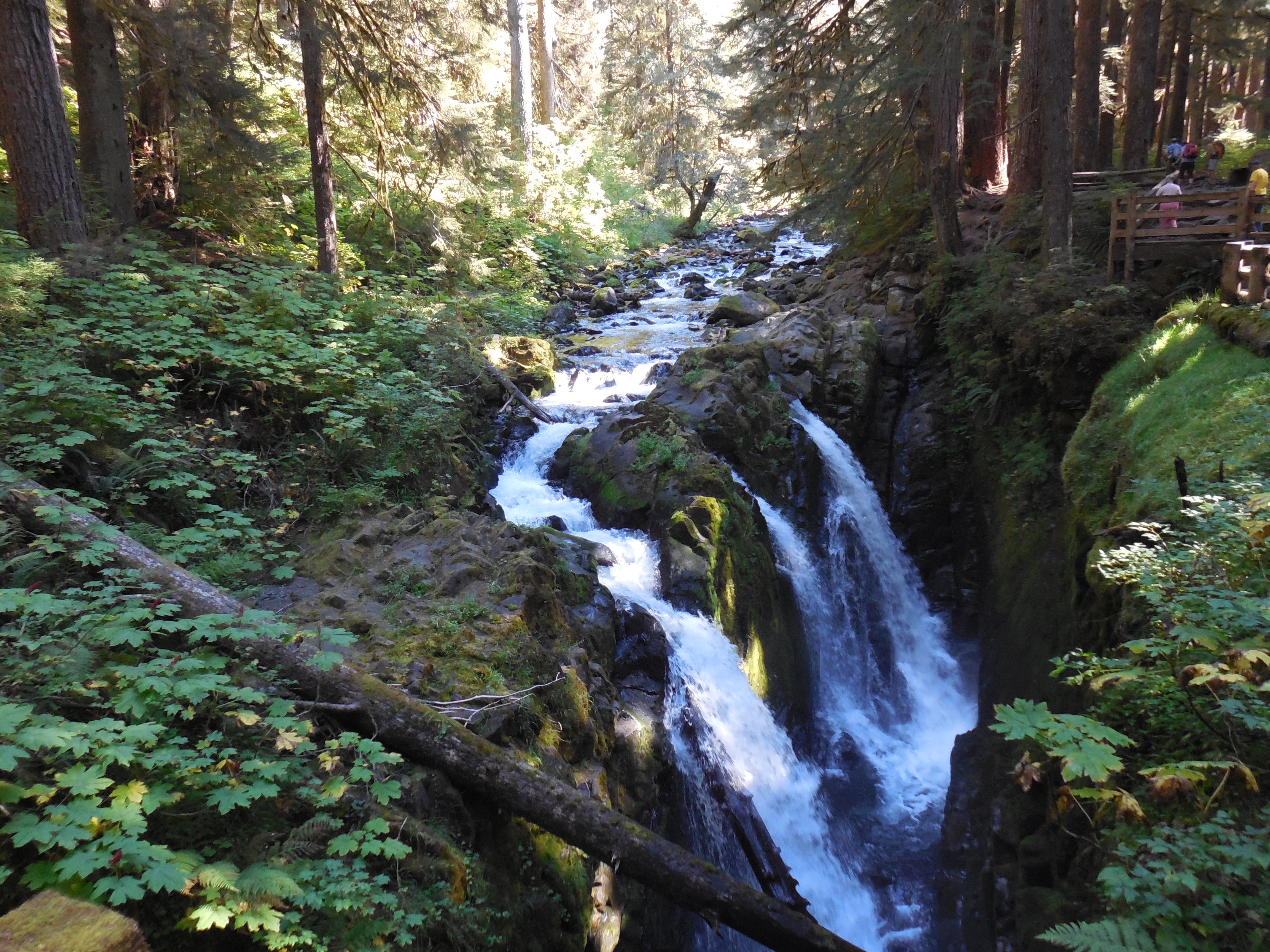Sol Duc Falls and Deer Lake