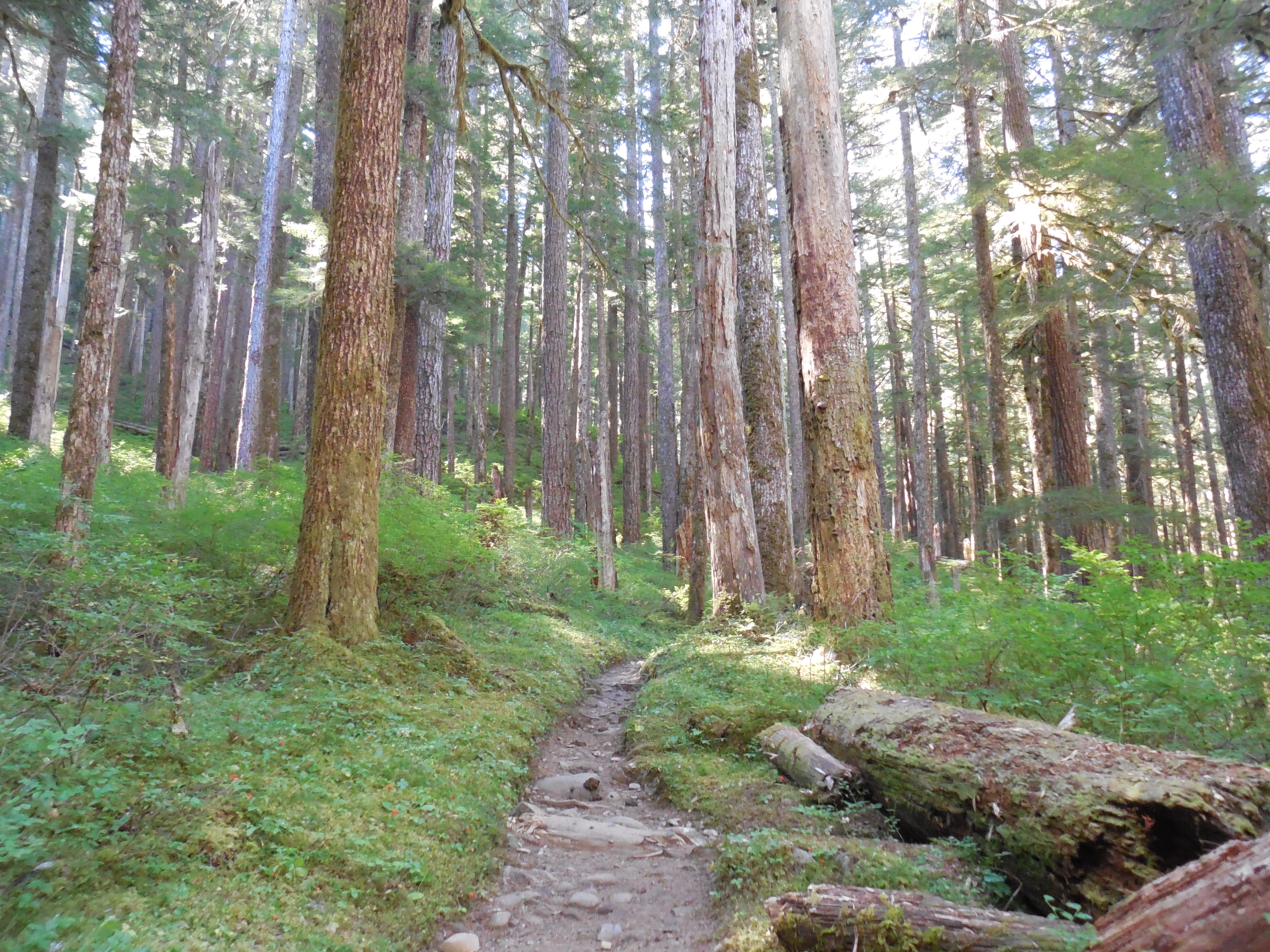 Sol Duc Falls and Deer Lake