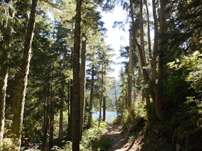 Hike to Sol Duc Falls and Deer Lake