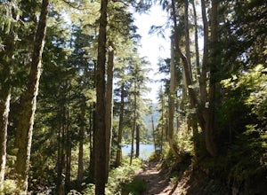 Hike to Sol Duc Falls and Deer Lake
