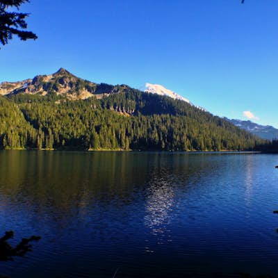 Hike to Eunice Lake in Mt. Rainier NP