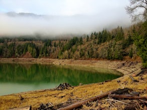 Explore Riffe Lake