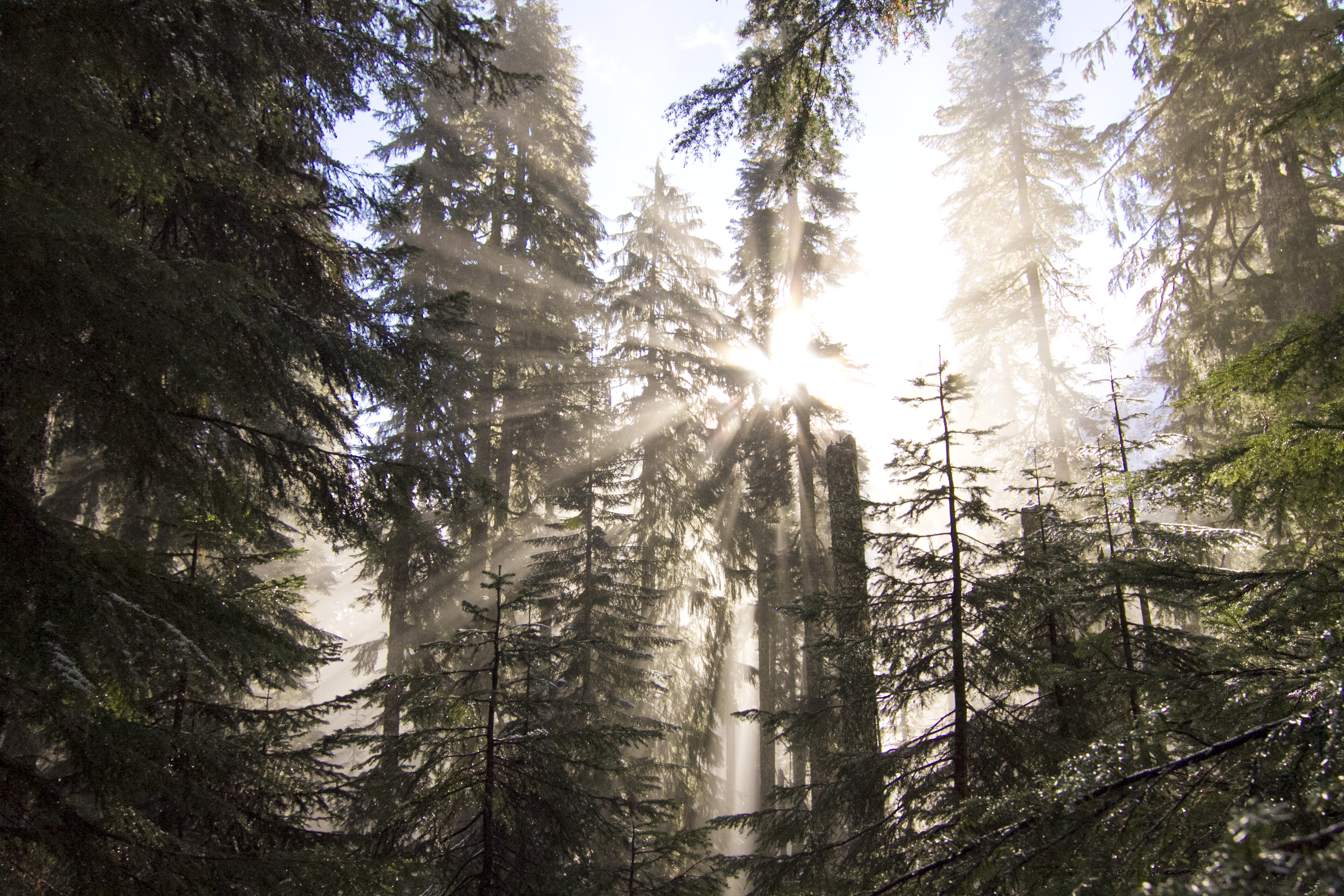 Snowshoe to Snow Lake