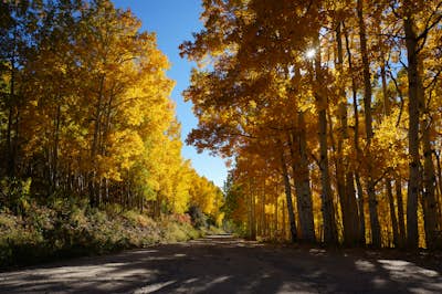 Enjoy the Stunning Fall Colors of Steamboat
