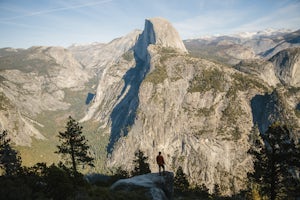Drive the Yosemite Valley Loop