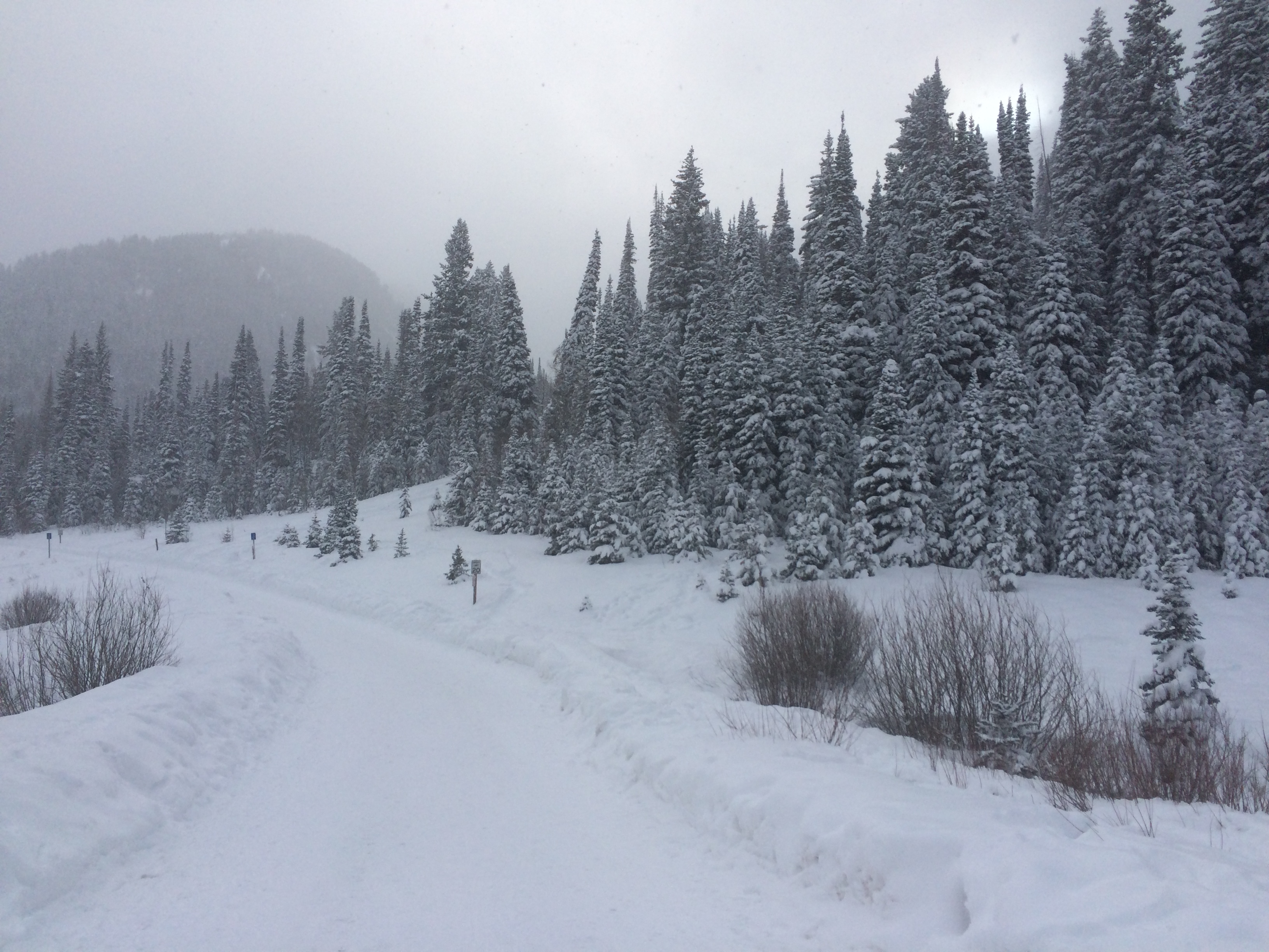 Snowshoe to Cardiff Mine