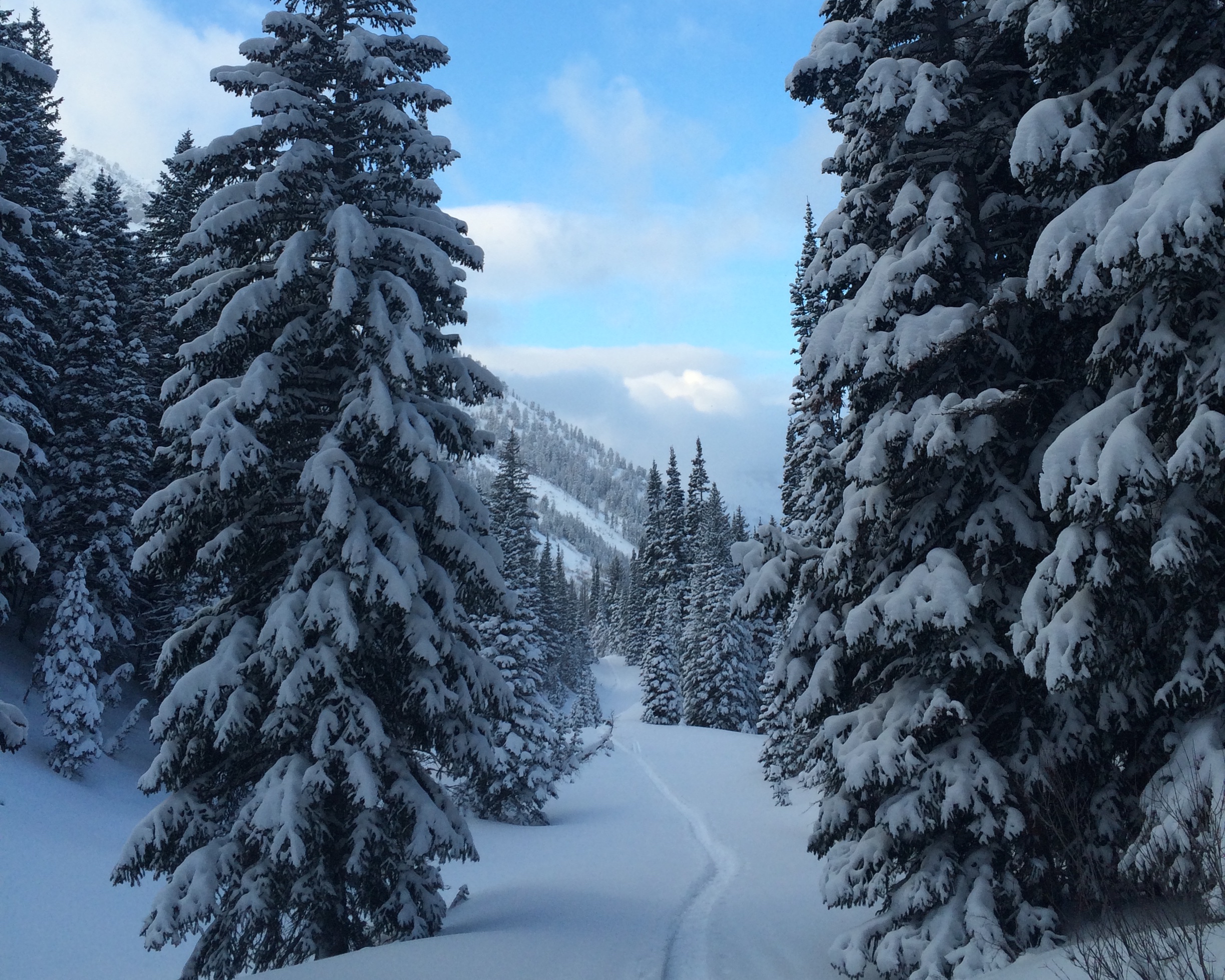 Snowshoe to Cardiff Mine