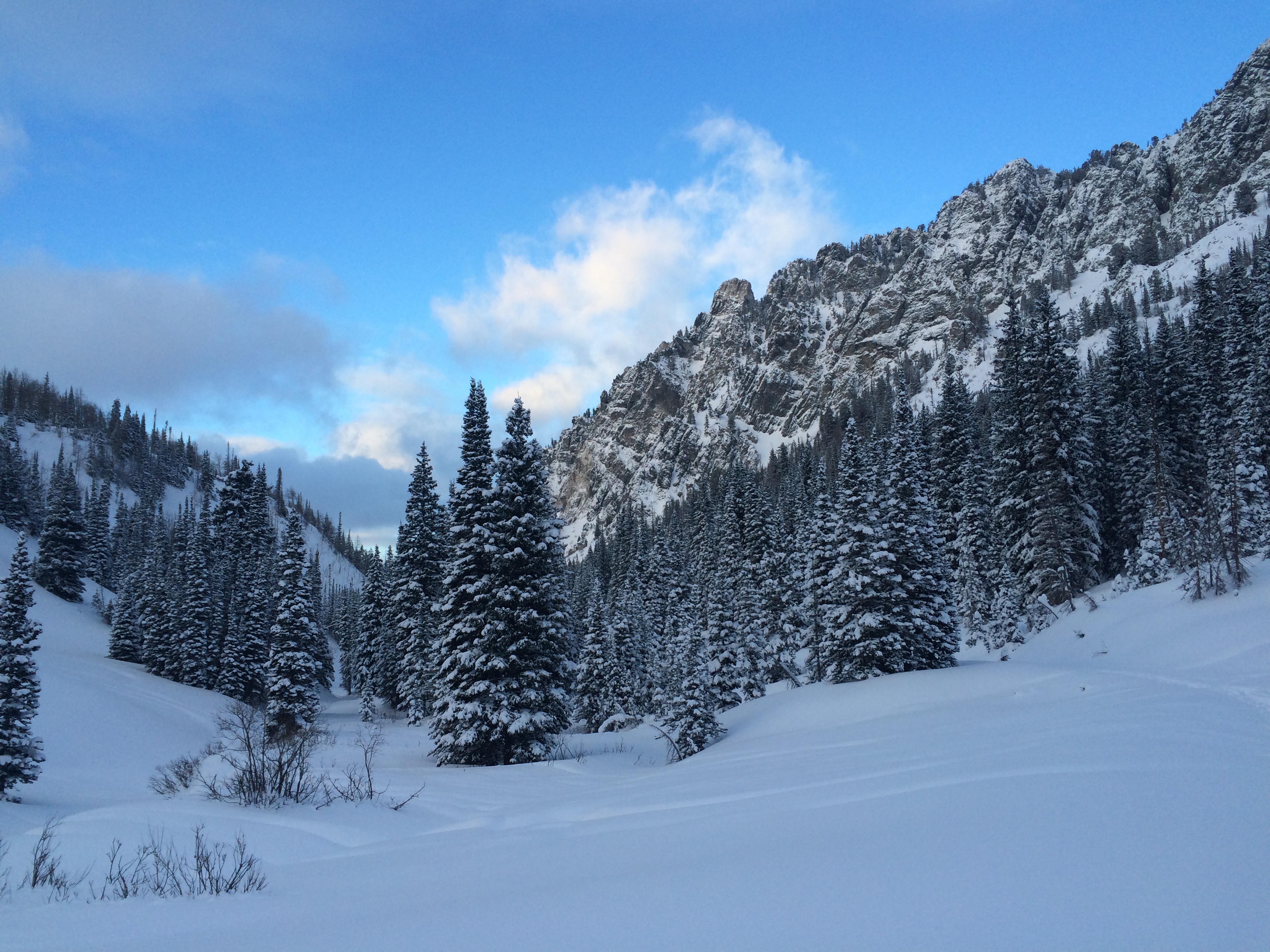 Snowshoe to Cardiff Mine