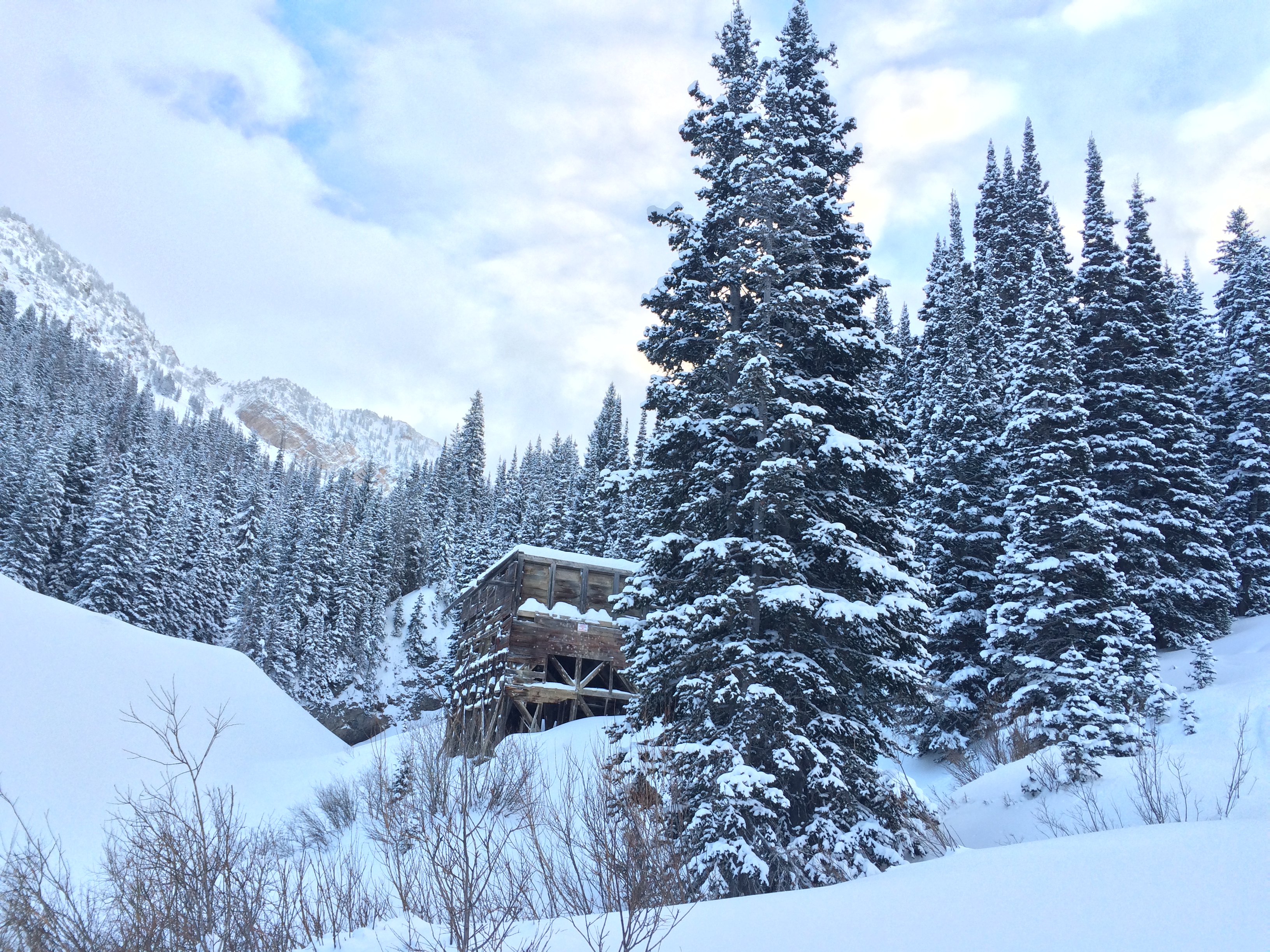 Snowshoe to Cardiff Mine