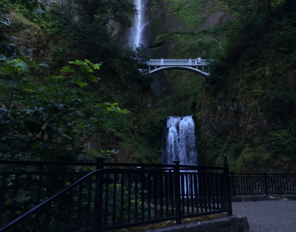 Larch Mountain's Summit