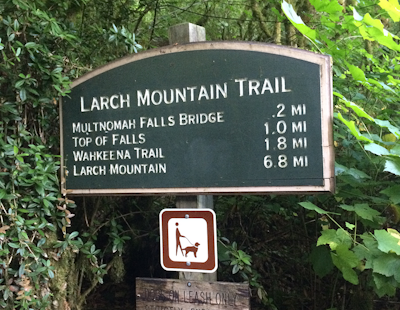 Larch Mountain's Summit