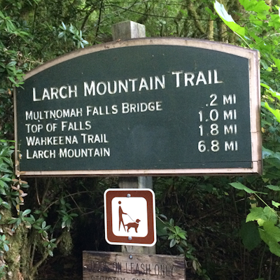 Larch Mountain's Summit