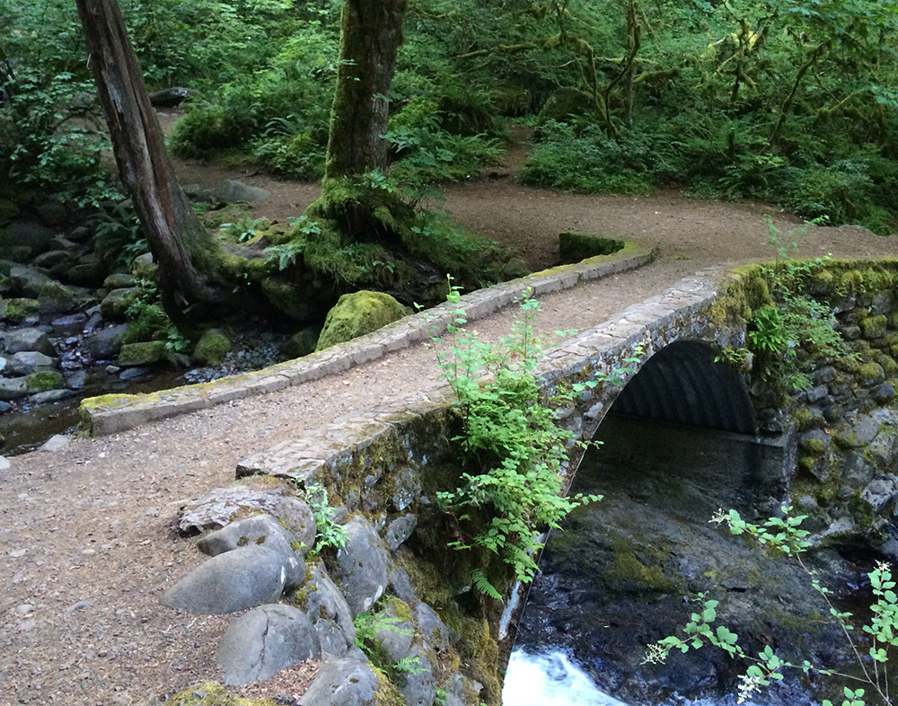 Larch Mountain's Summit