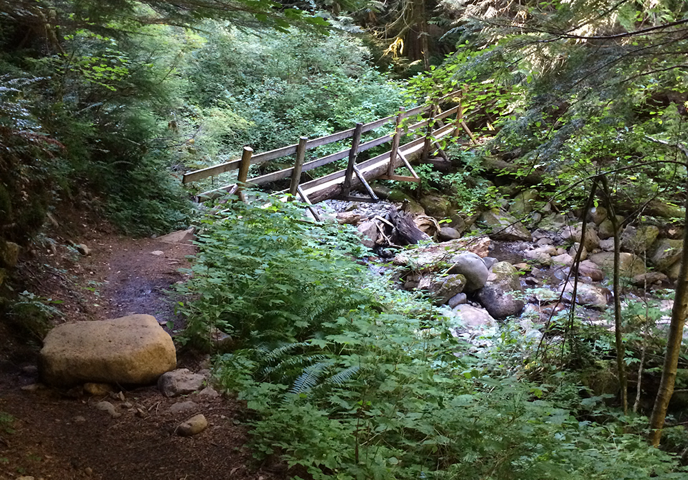 Larch Mountain's Summit
