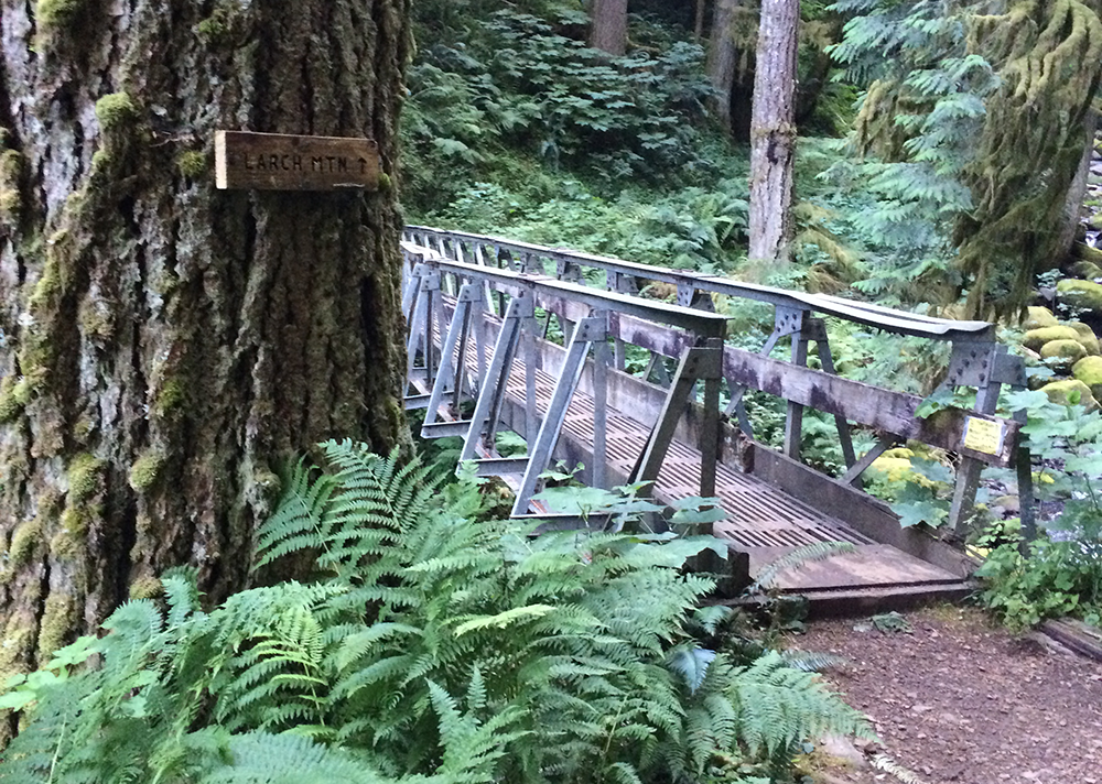 Larch Mountain's Summit