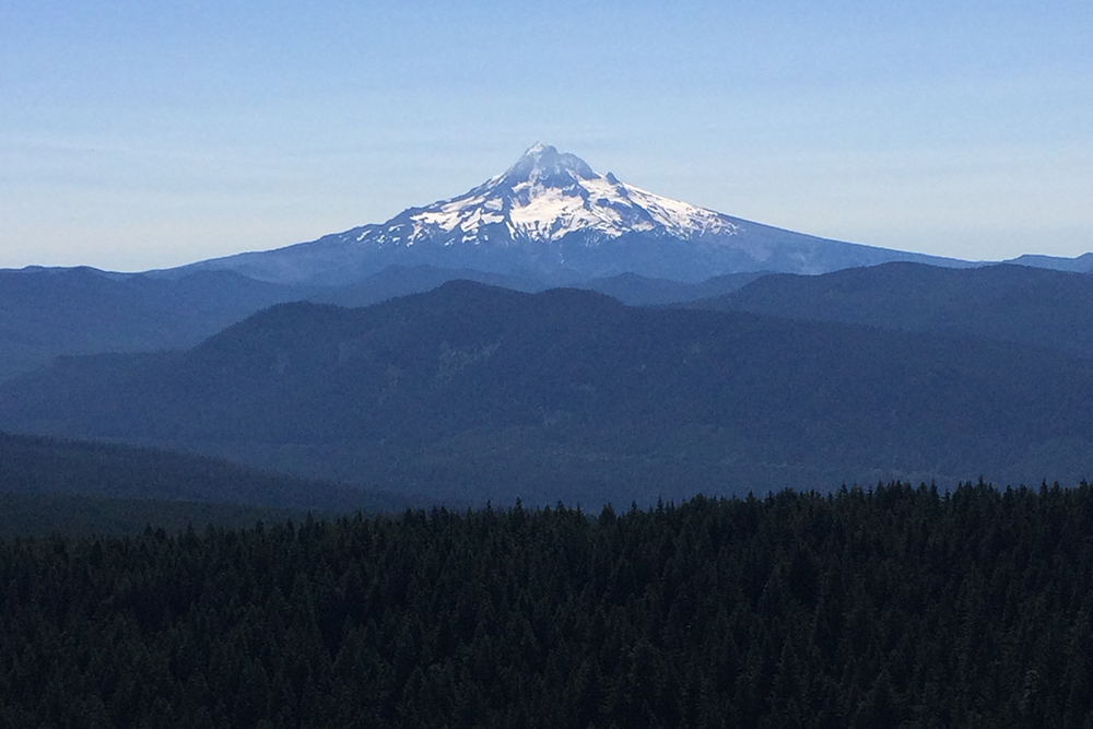 Larch Mountain's Summit