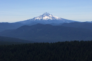 Larch Mountain's Summit
