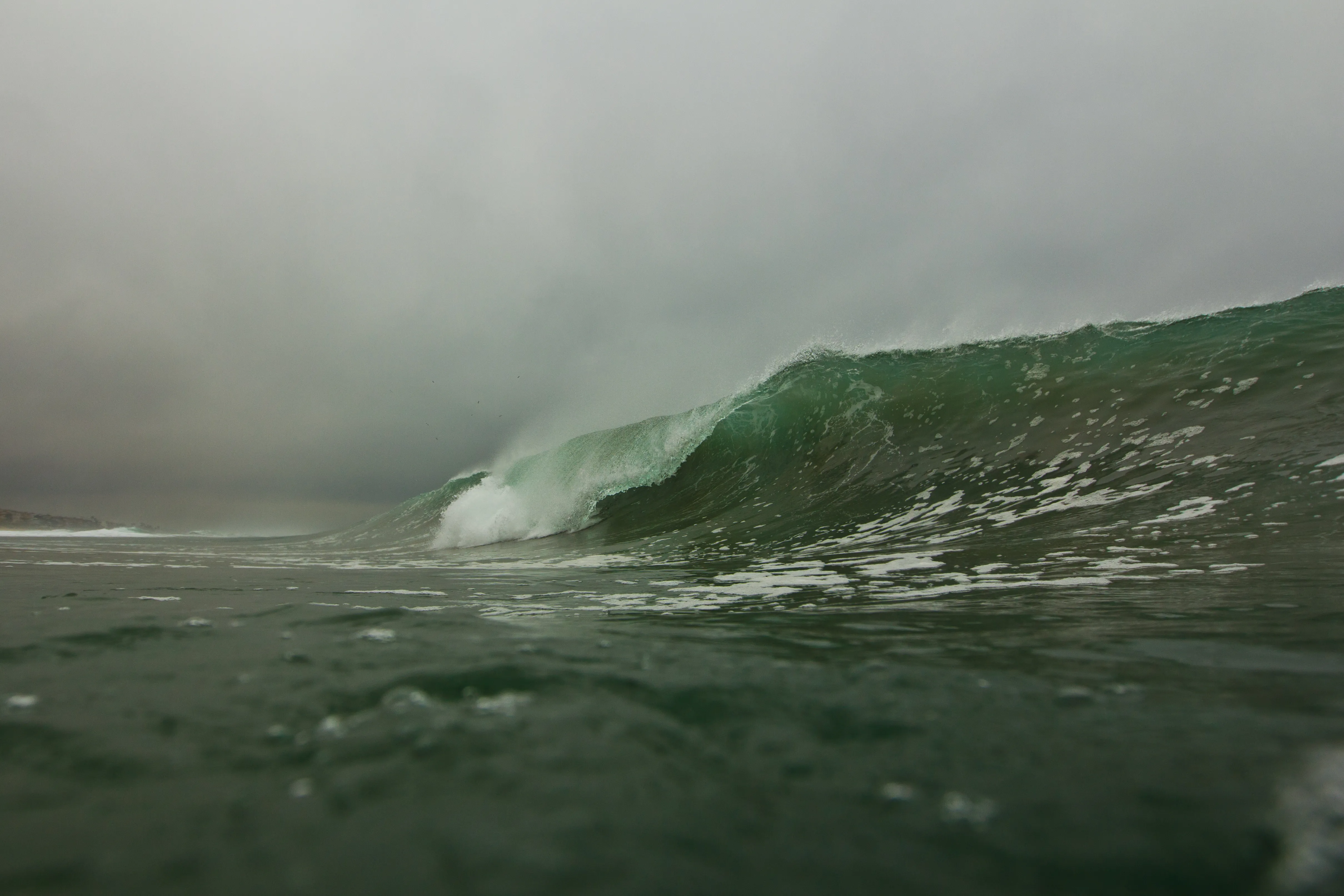 Surf at El Porto
