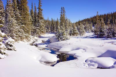 Snowshoe or Ski Lake Isabelle