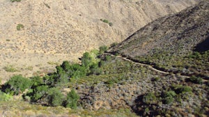 Hike a Portion of the Pacific Crest Trail