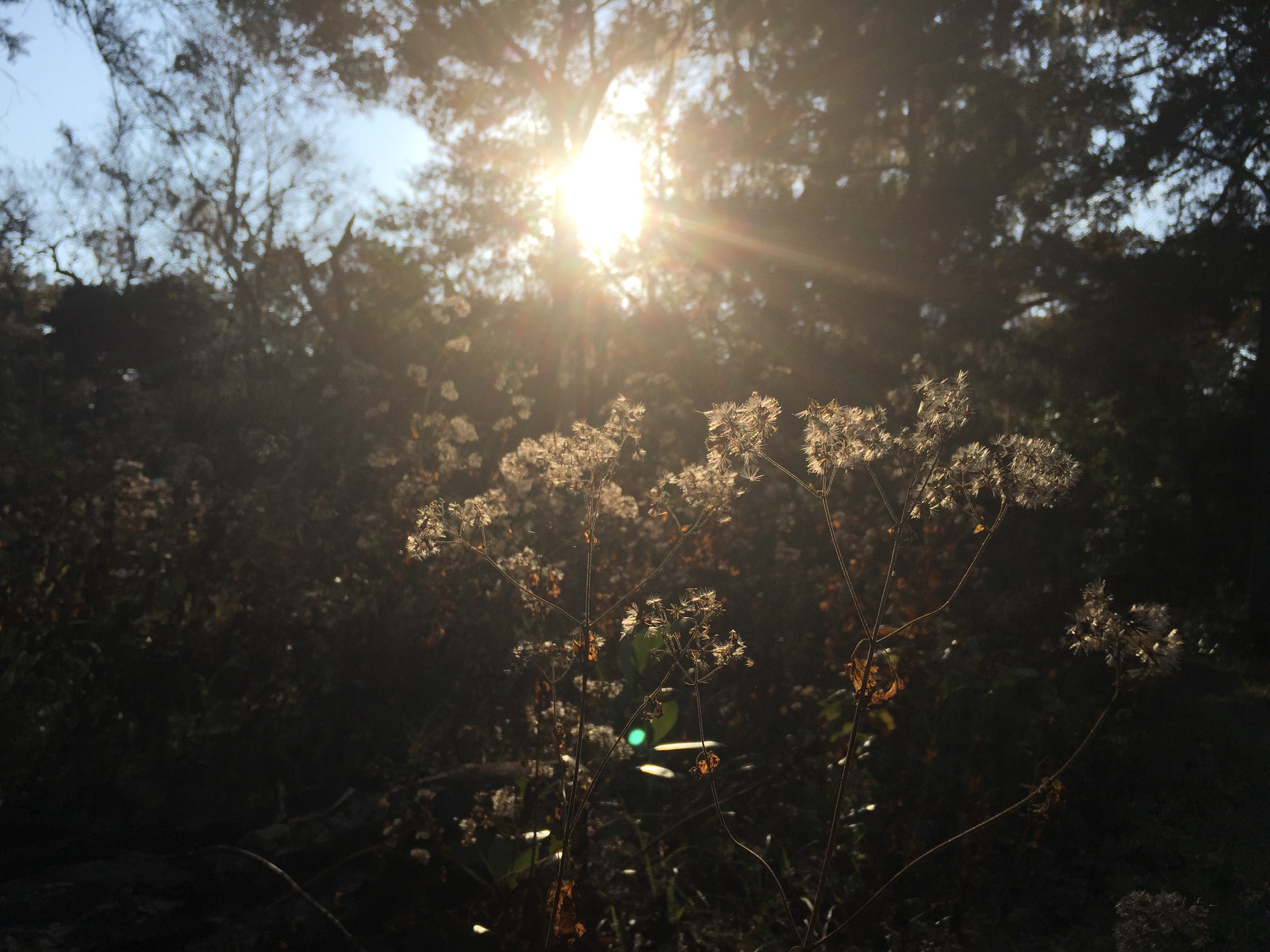 Explore Guana State Park & Wild Life Preserve 