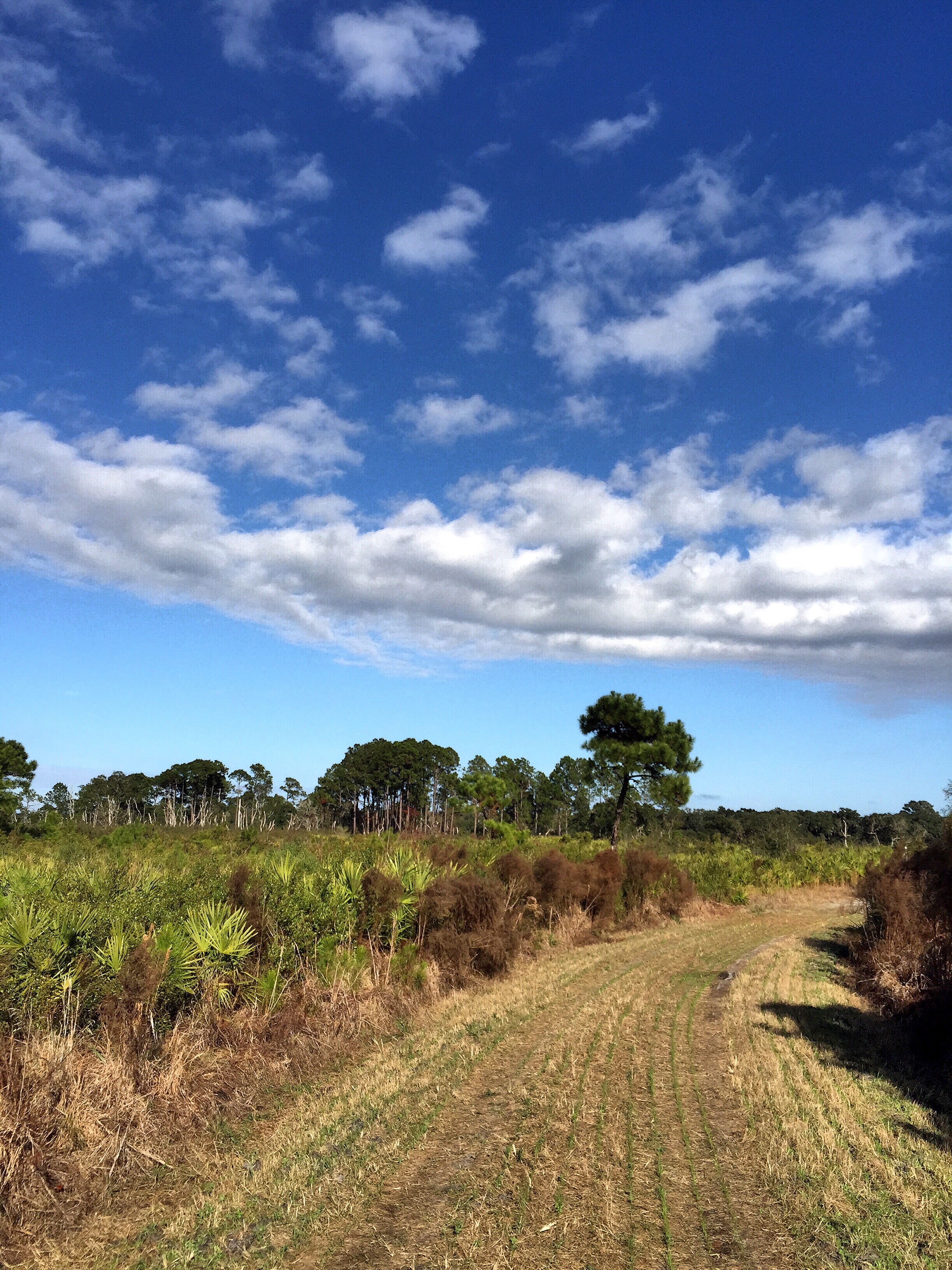 Explore Guana State Park & Wild Life Preserve 
