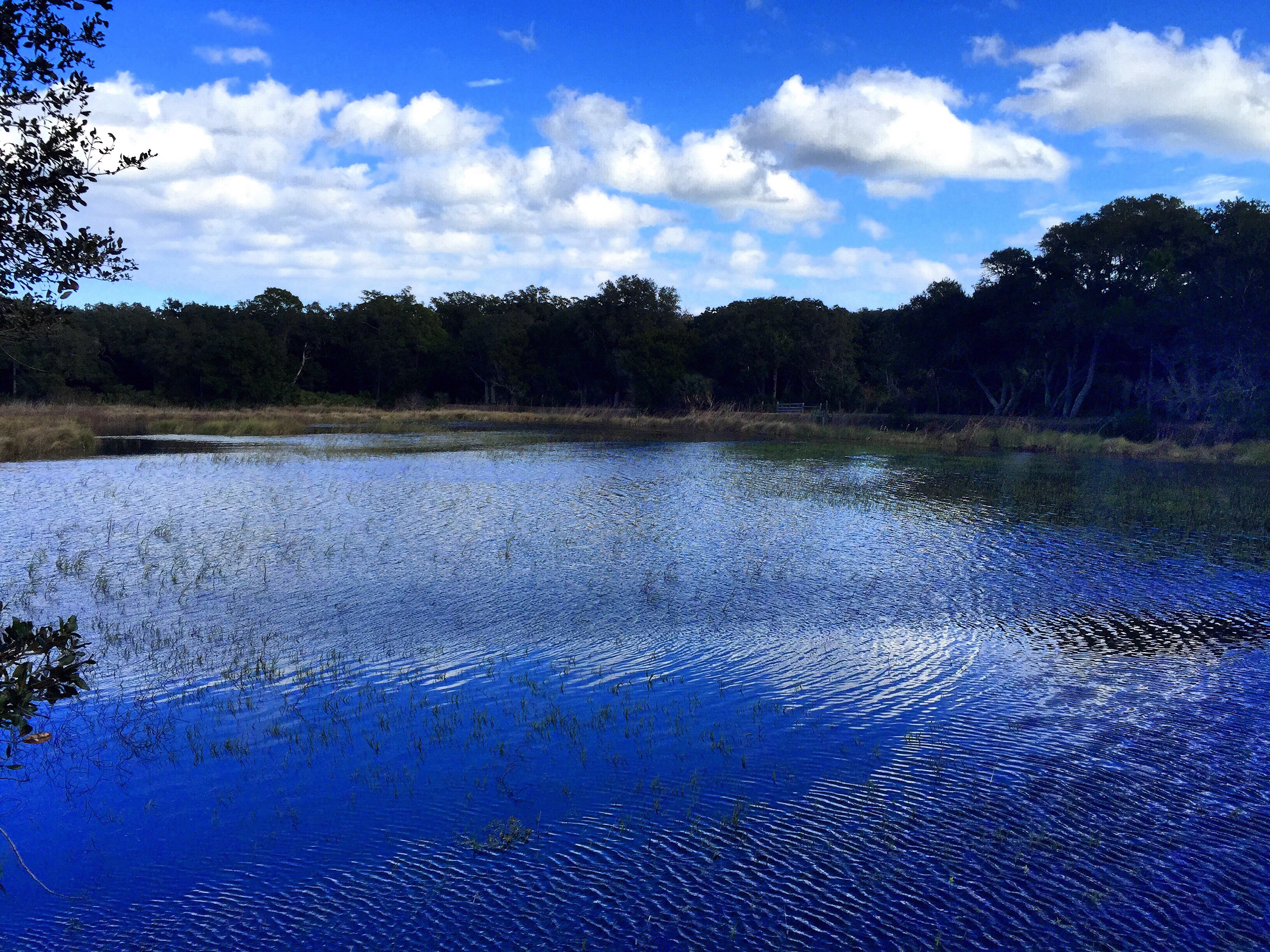 Explore Guana State Park & Wild Life Preserve 