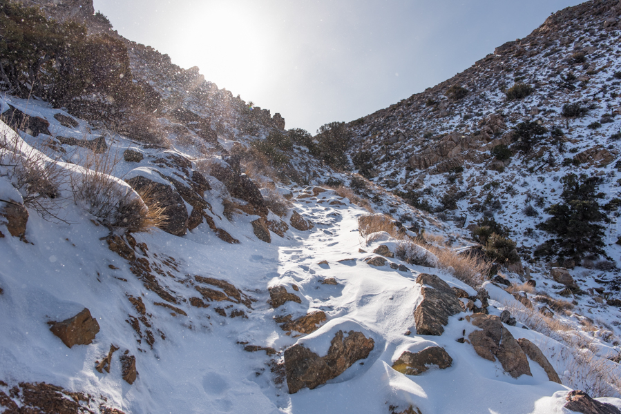 Winter Hike to Ryan Mountain