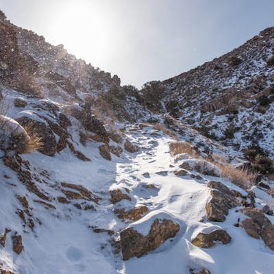 Winter Hike to Ryan Mountain