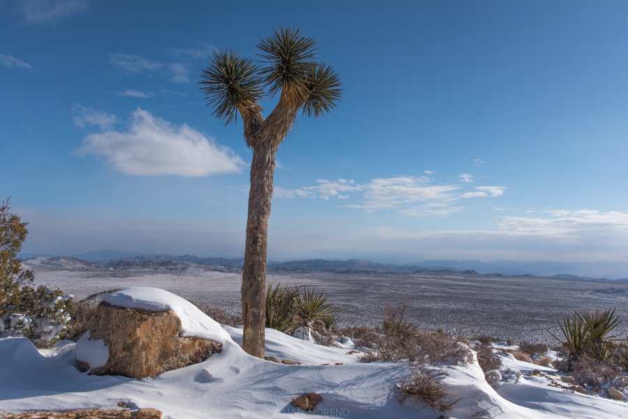 Winter Hike to Ryan Mountain