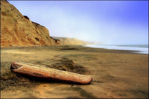 Beach Bonfire at Drake's Beach, Pt. Reyes 