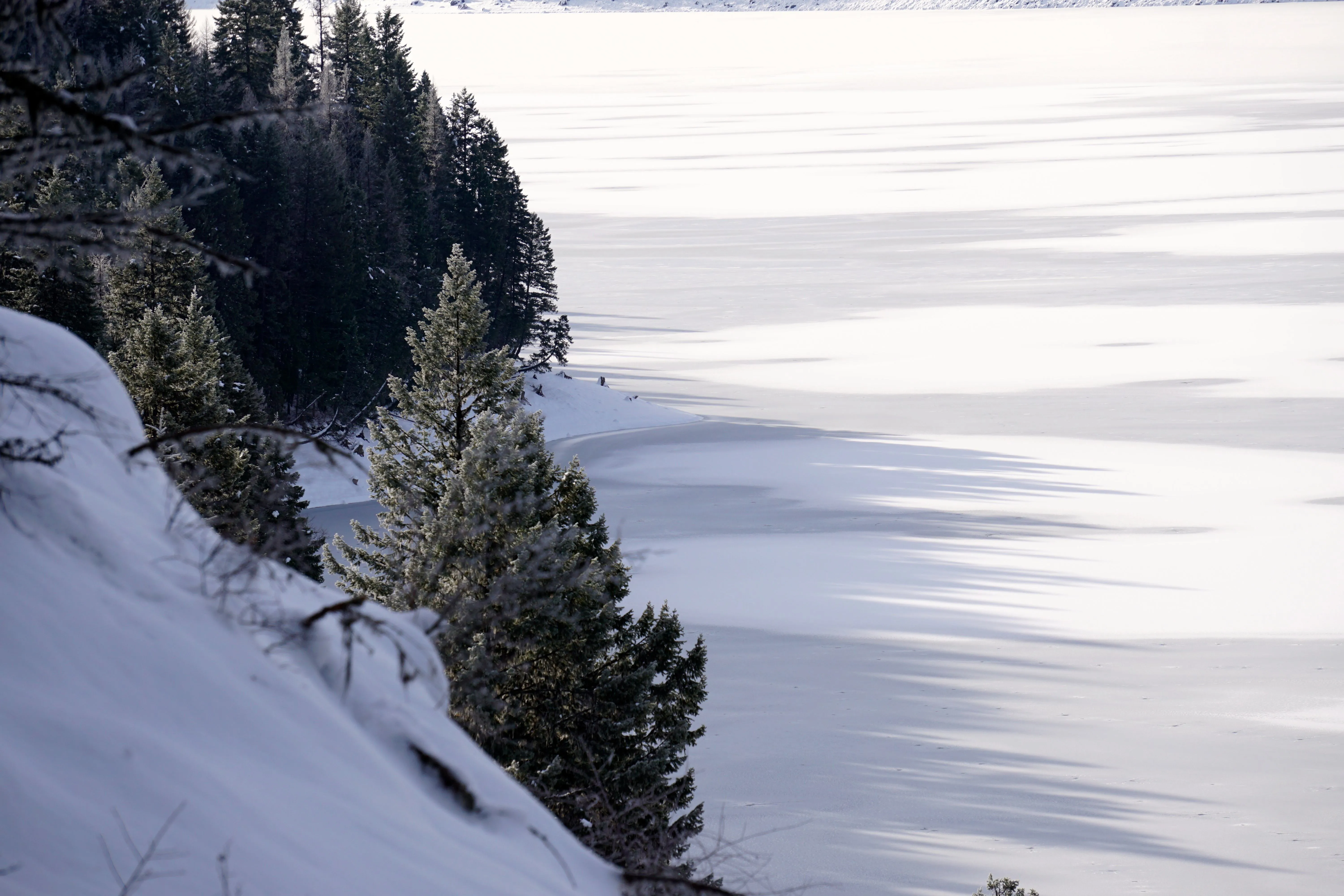 Snowshoe Sullivan Lake