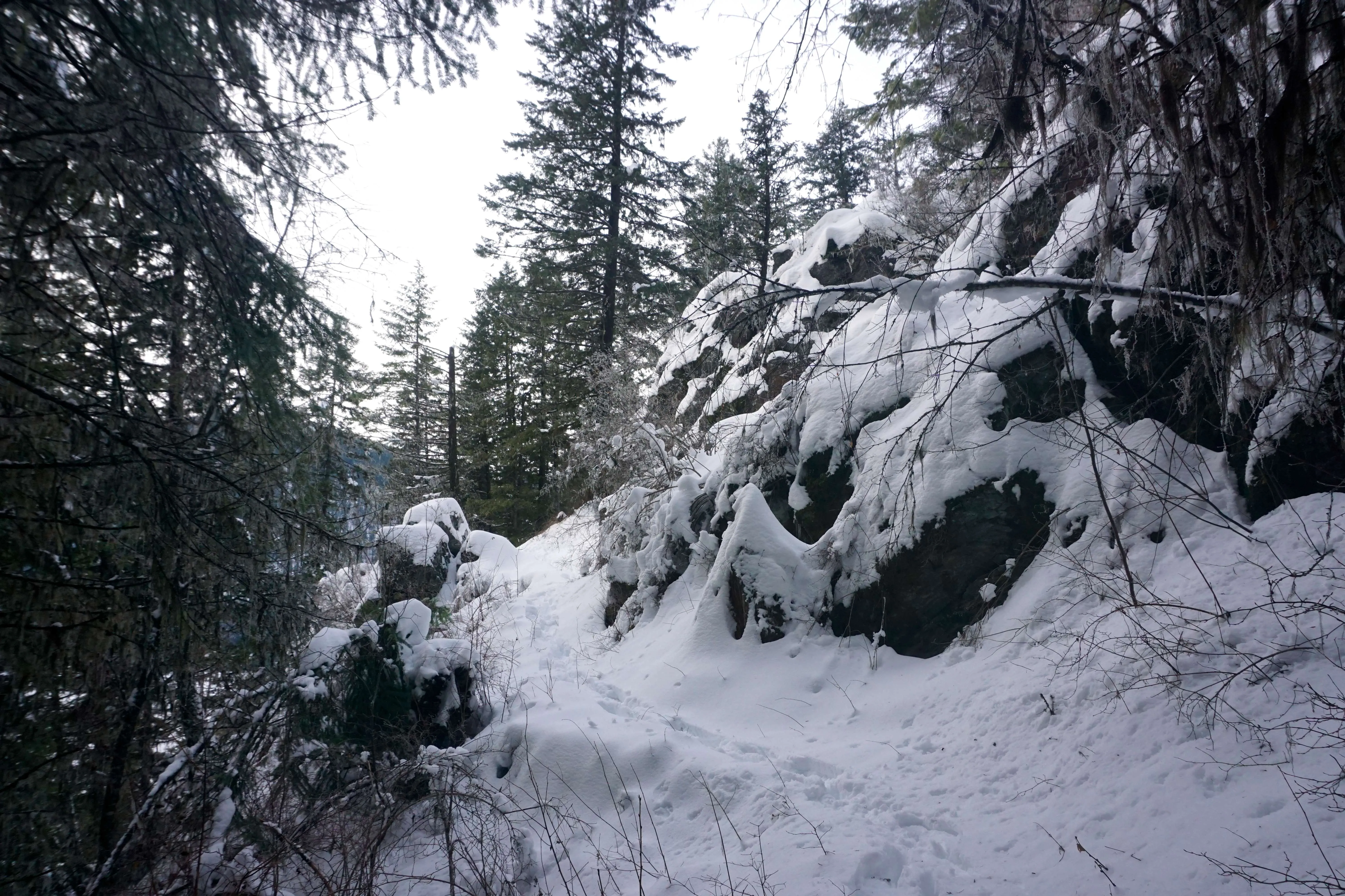 Snowshoe Sullivan Lake