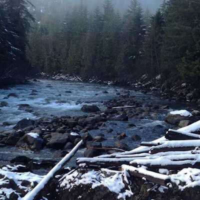 Explore the Cheakamus Forest on Snowshoes