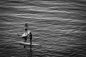 Stand Up Paddle (SUP) in Mission Bay