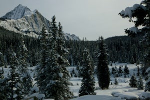 Hike to the Ink Pots via Johnston Canyon