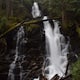 Hike to Rainier NP's Ranger Falls