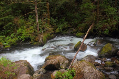 Hike at Wallace Falls , Wallace Falls Trailhead