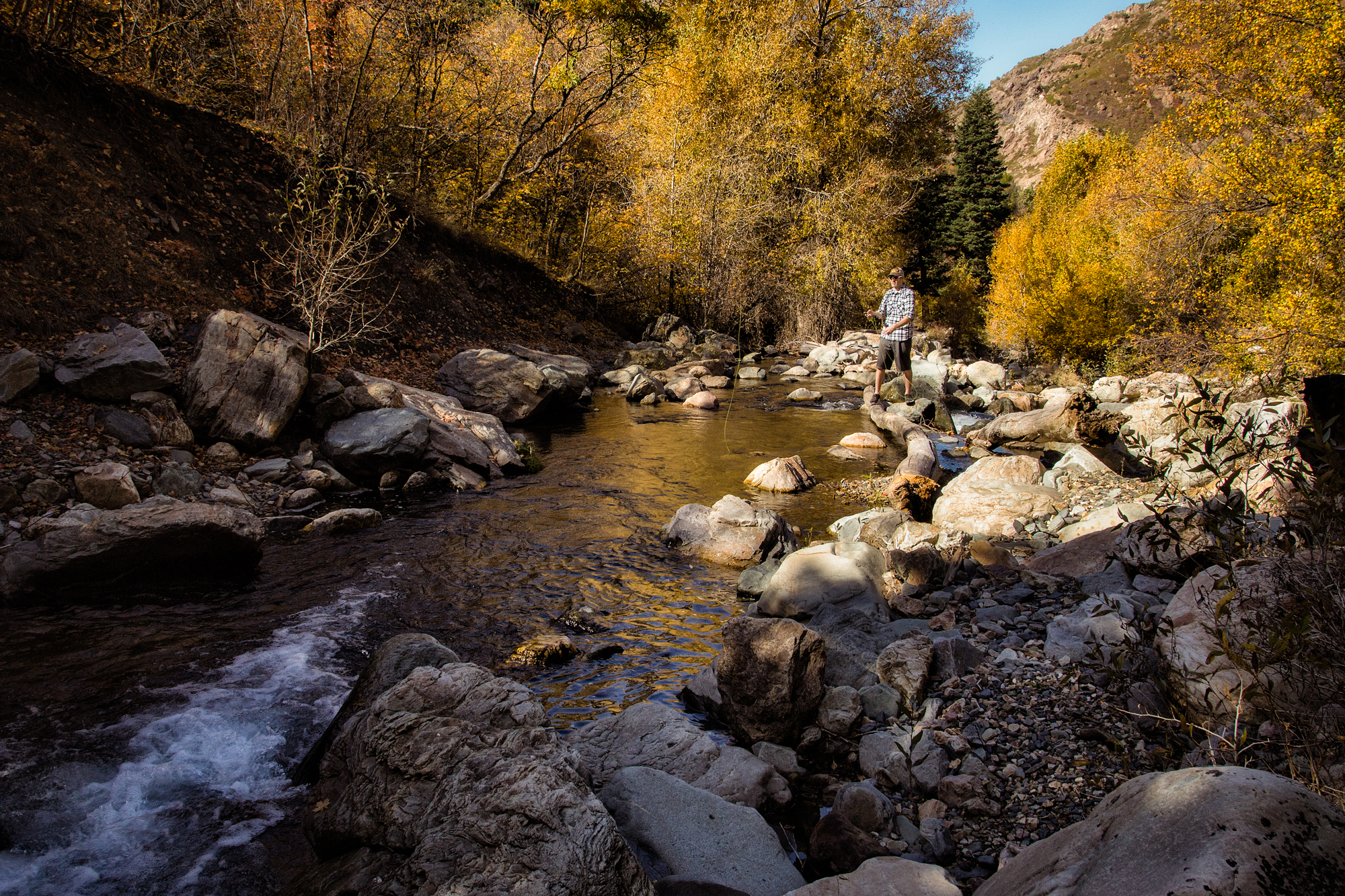 Fishing Big Cottonwood Creek