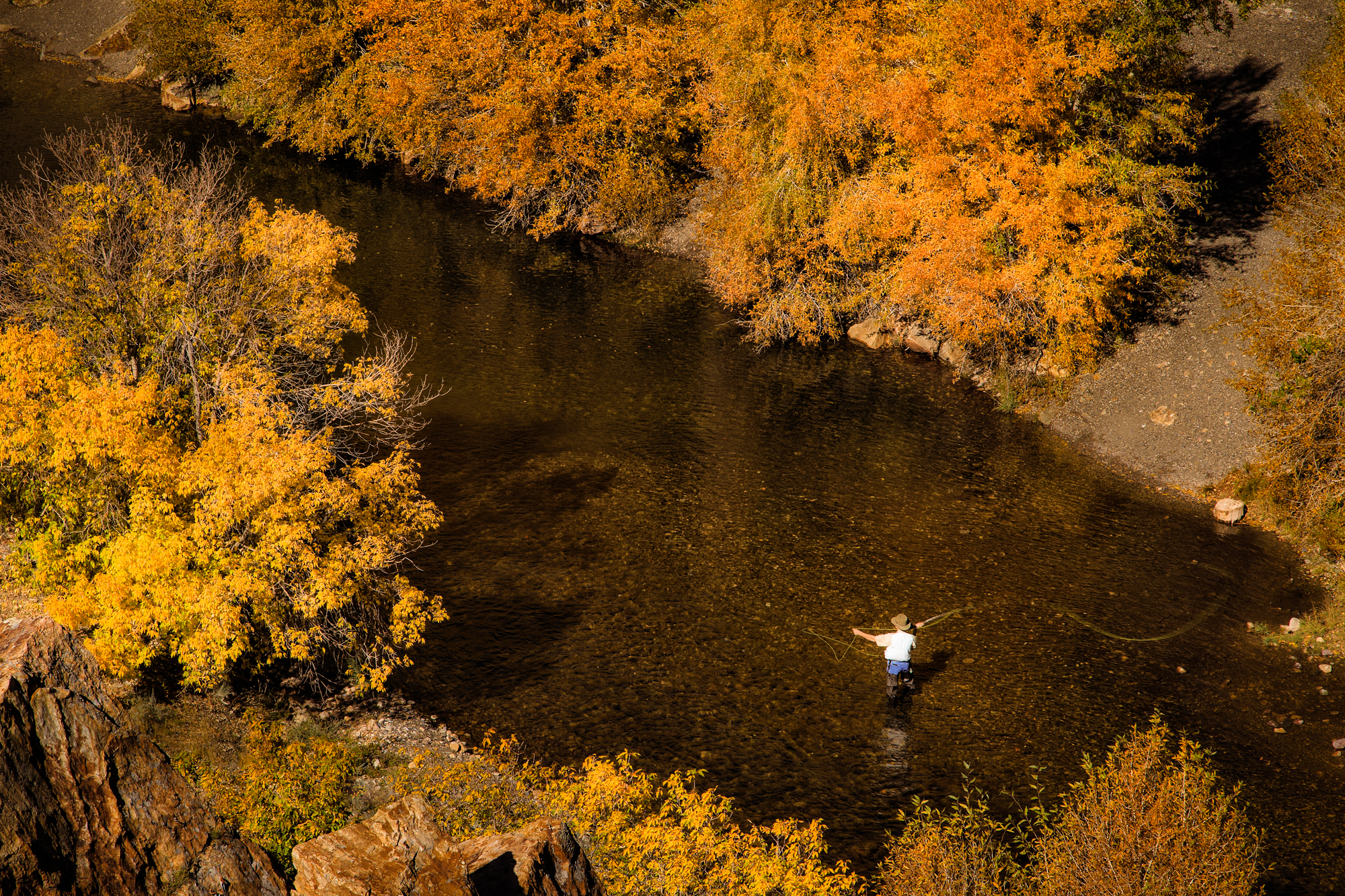 Fishing Big Cottonwood Creek