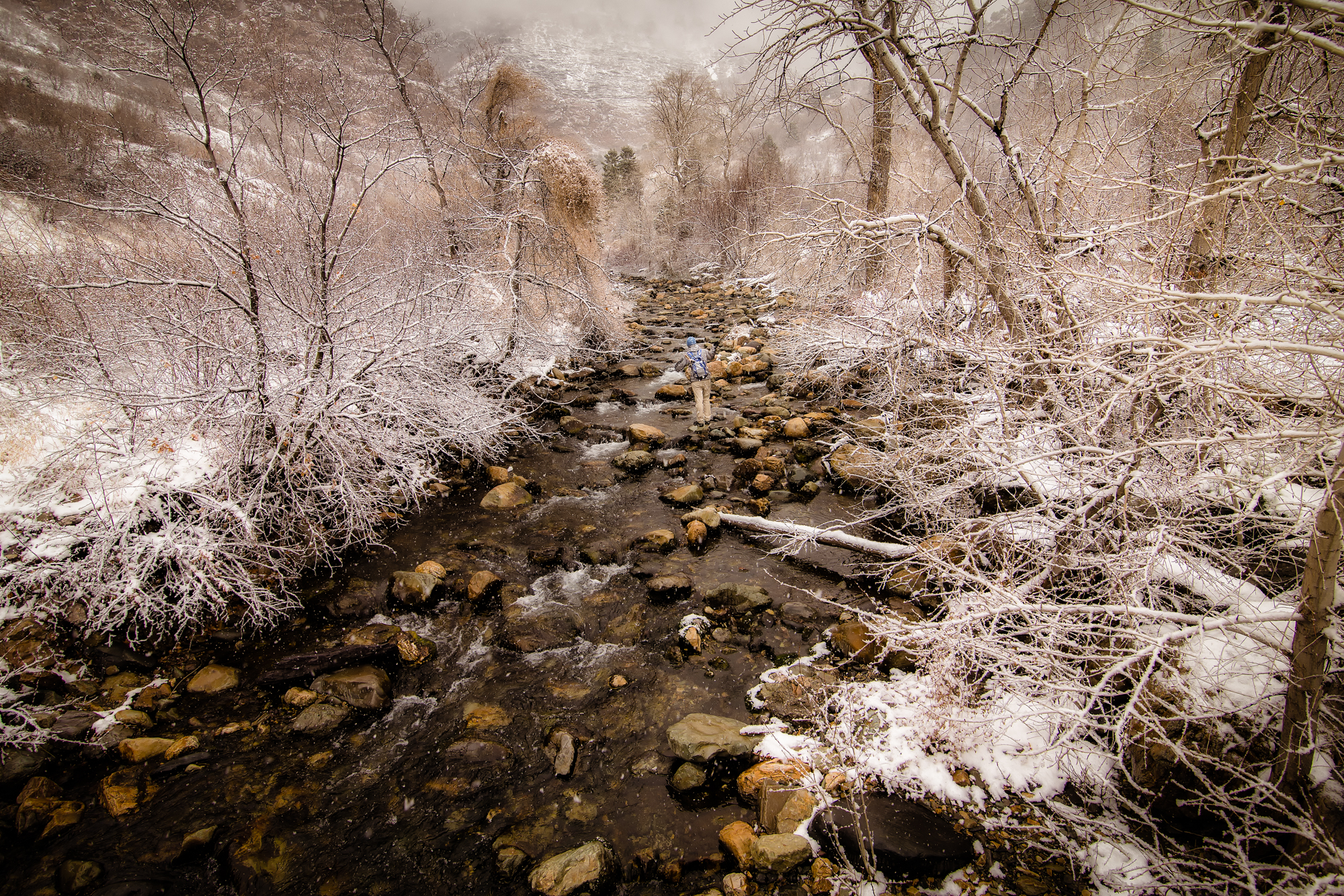 Fishing Big Cottonwood Creek