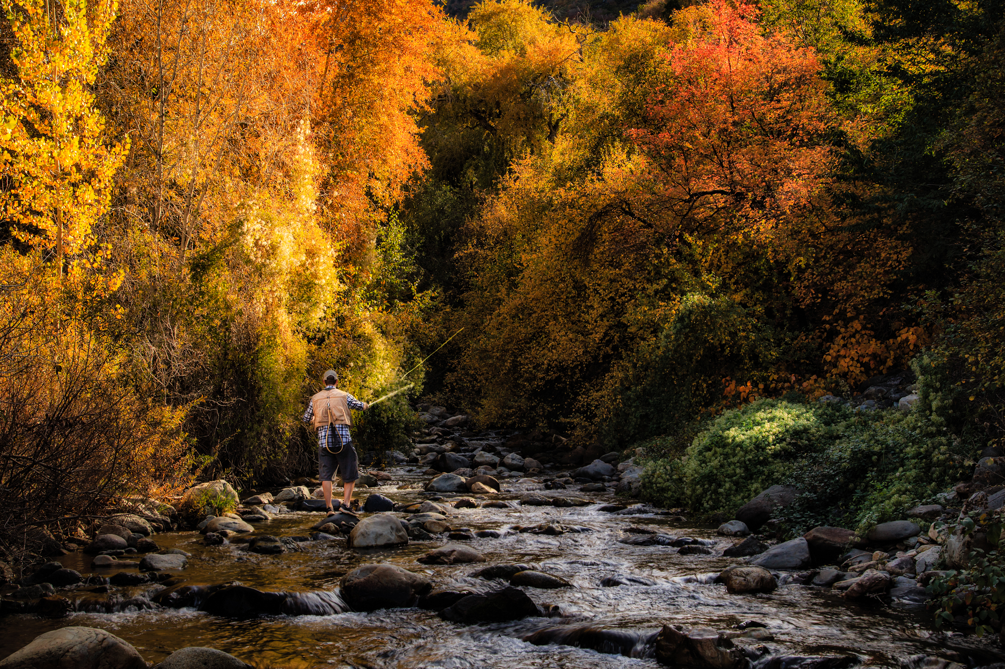 Fishing Big Cottonwood Creek
