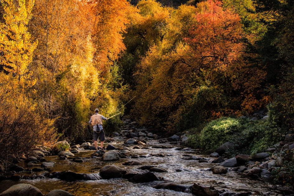 Fishing Big Cottonwood Creek, Cottonwood Heights, Utah