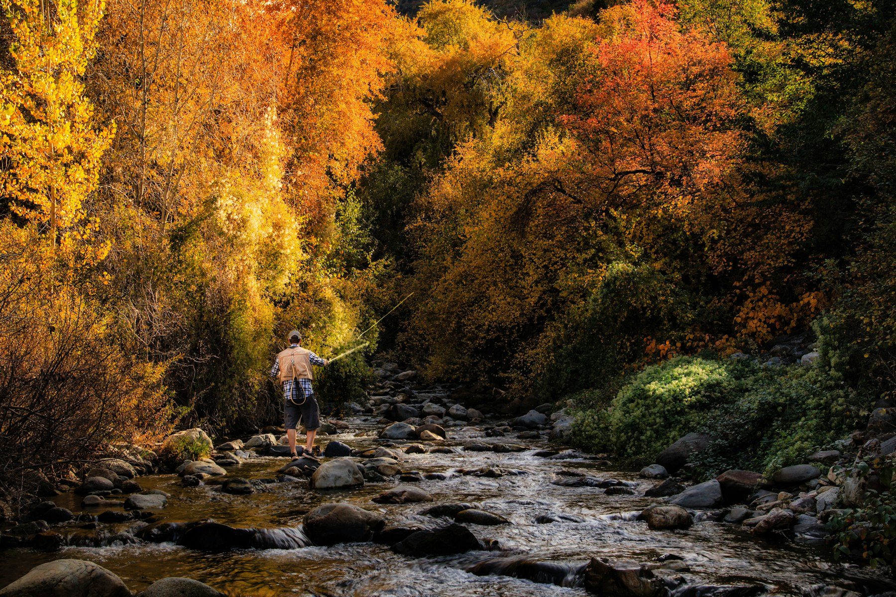 5 Reasons to Give Fly Fishing a Try