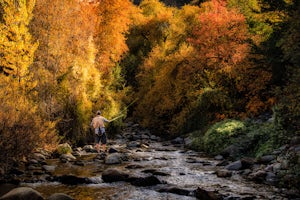 Fishing Big Cottonwood Creek