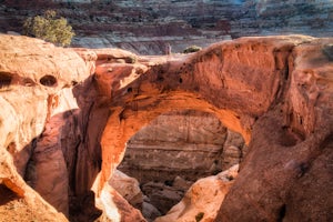 Cassidy Arch Trail